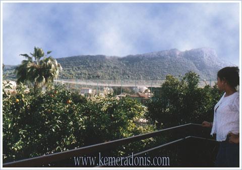 ����� Adonis hotel & villa aparts, ����