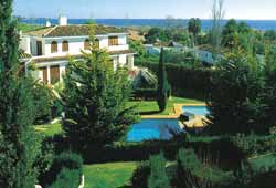 ����� Albayalde APT, ����