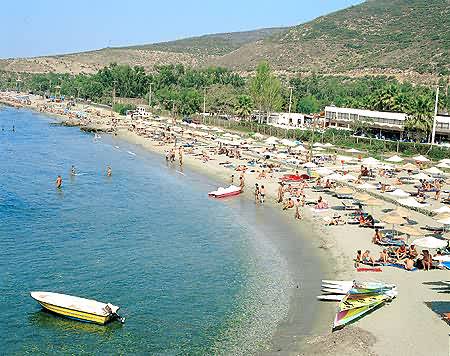 ����� Tropicano Kustur, ����
