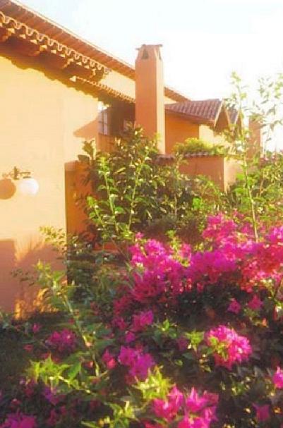 ����� Larissa Club Tekirova, ����