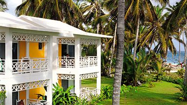 ����� Riu Taino, ����