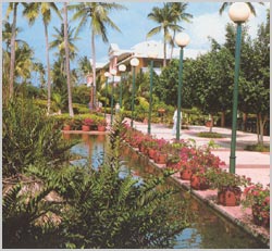 ����� Iberostar Dominicana, ����