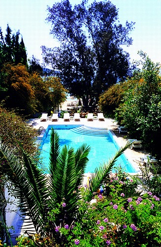 ����� Okaliptus Hotel, ����