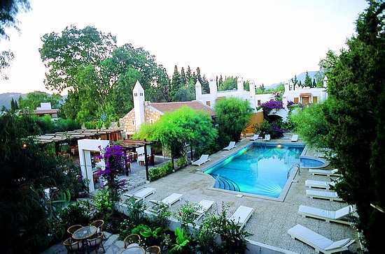 ����� Okaliptus Hotel, ����