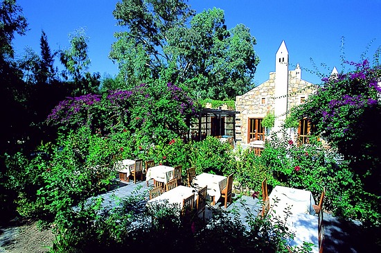����� Okaliptus Hotel, ����