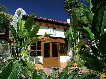 ����� Club Miguel Angel, ����