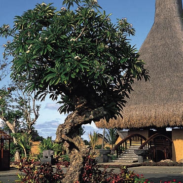 ����� The Oberoi Mauritius, ����