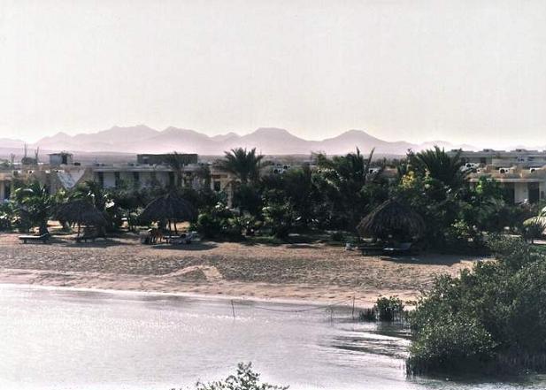 ����� Mangrove Bay Resort, ����