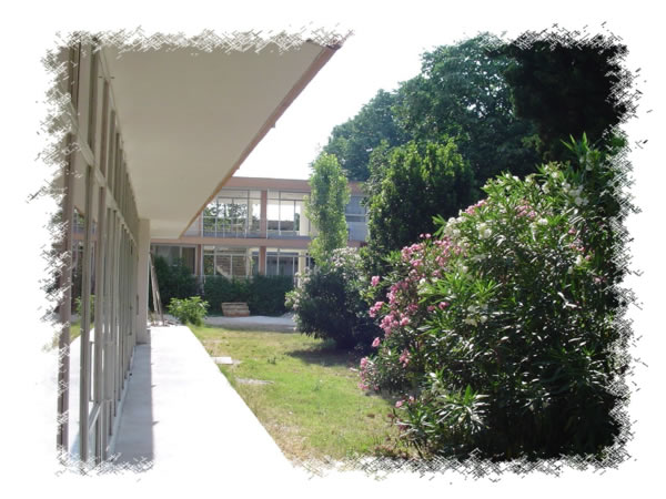 ����� Resnik, ����