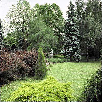 ����� Park, ����
