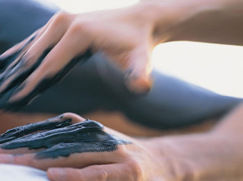 ����� Carmel Forest Spa Resort, ����