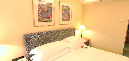 ����� Harbour Plaza Hong Kong, ����