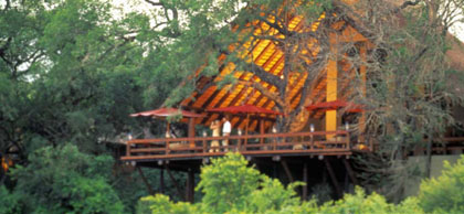 ����� Londolozi Private Game Reserve, ����