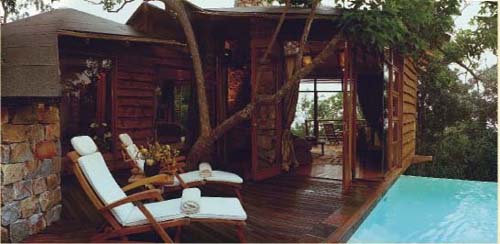 ����� Tsala Treetop Lodge, ����