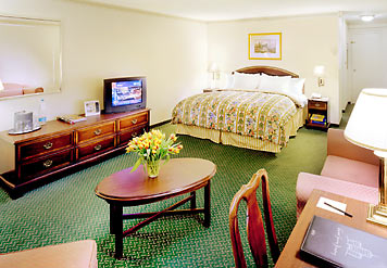 ����� Amsterdam Marriott, ����