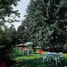 ����� Park Hotel Azalea, ����