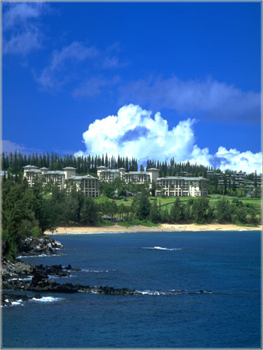 ����� Ritz-Carlton Golf Resort, ����
