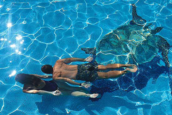 ����� Sheraton Waikiki, ����