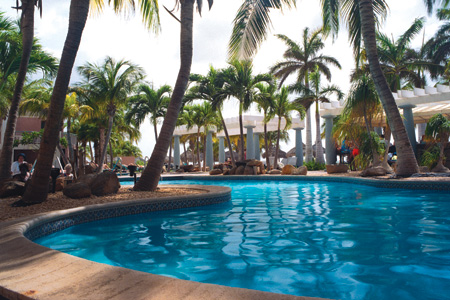 ����� Divi Aruba Phoenix Beach Resort, ����