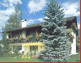 ����� Gastehaus Sissi, ����