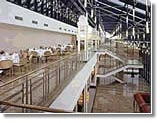 ����� Maritim, ����