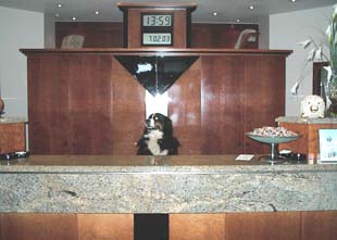 ����� Residence, ����
