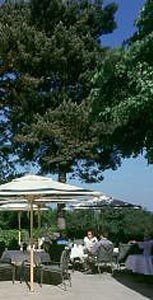����� Dorint Sofitel Venusberg, ����
