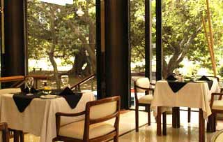 ����� Dazzler Hotel Buenos Aires luxe, ����