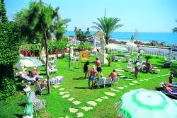 ����� Club Surf, ����