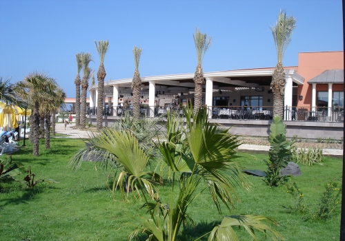 ����� Iberotel Palm Garden, ����