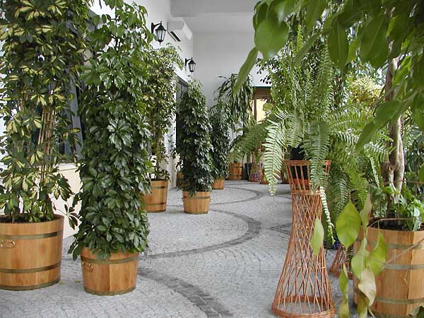 ����� JB Hotel, ����