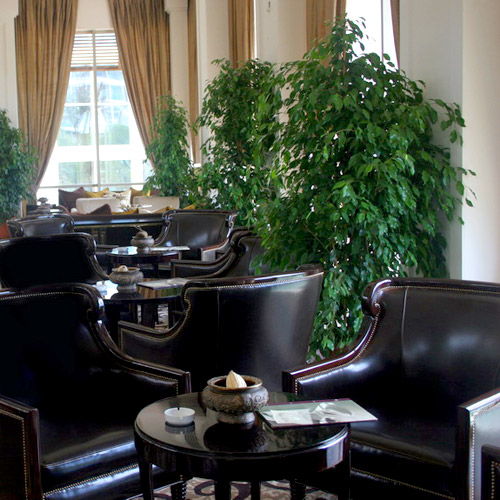����� Rixos Premium Belek, ����