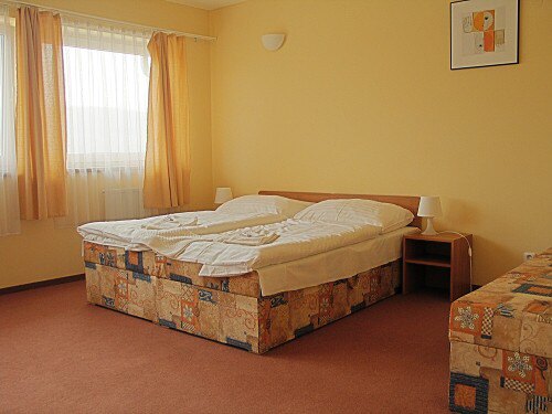 ����� Alpin Avion APT, ����