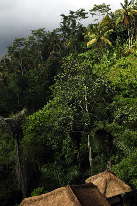 ����� Ubud Hanging Gardens, ����
