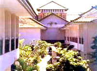 ����� Legian Paradiso, ����