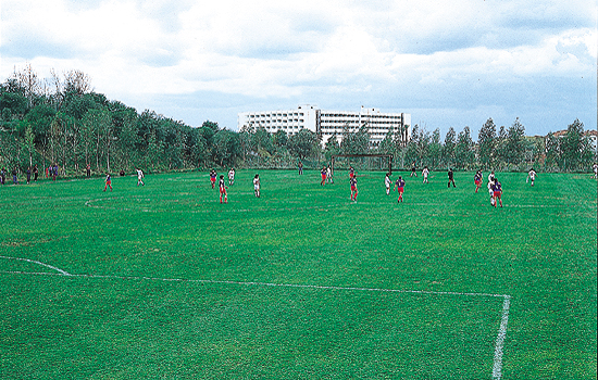 ����� Sural Resort, ����