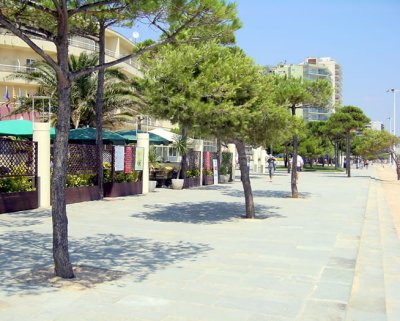 ����� Aromar, ����