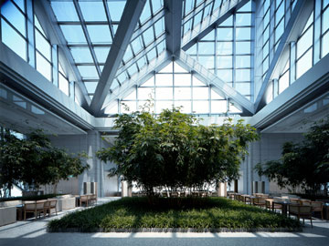 ����� Park Hyatt Tokyo, ����