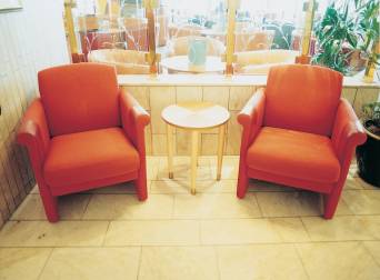 ����� Scandic Opalen, ����