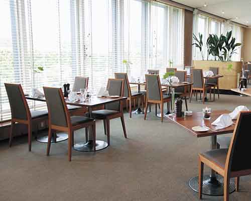 ����� Radisson SAS Scandinavia, ����