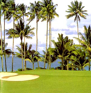 ����� Angsana Resort & Spa Bintan, ����