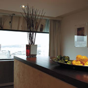 ����� Radisson SAS Scandinavia, ����