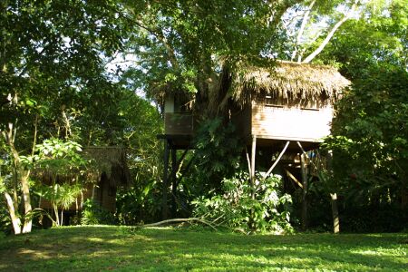����� Parrot Nest Lodge, ����