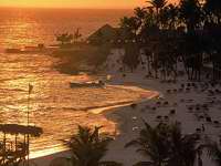 ����� Viva Wyndham Dominicus Beach, ����