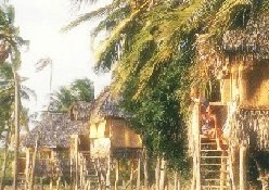 ����� Kipungani Bay, ����