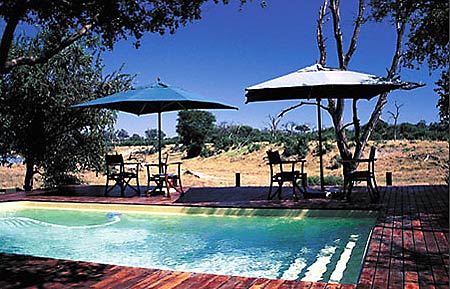 ����� Savute Safari Lodge, ����