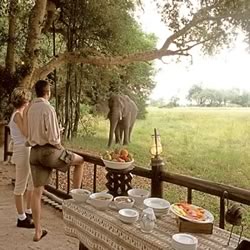 ����� Eagle Island Camp, ����