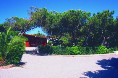 ����� Pineta Varca d'Oro Resort, ����