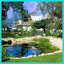 ����� Coral Reef Club, ����