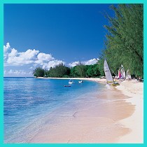 ����� Coral Reef Club, ����